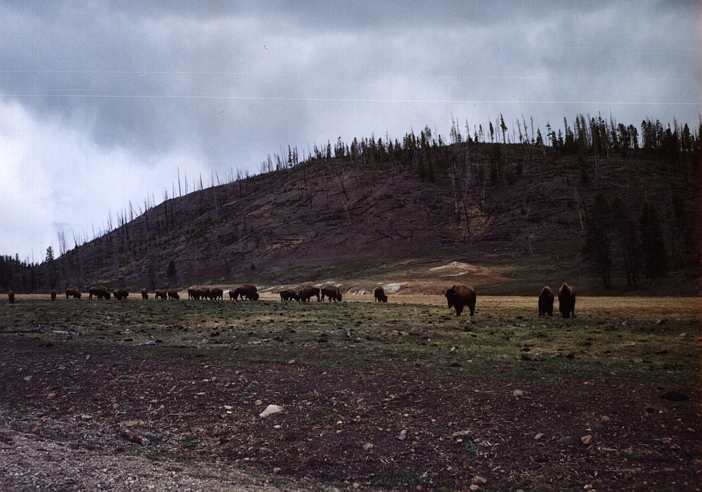 2001 - USA B040a.jpg